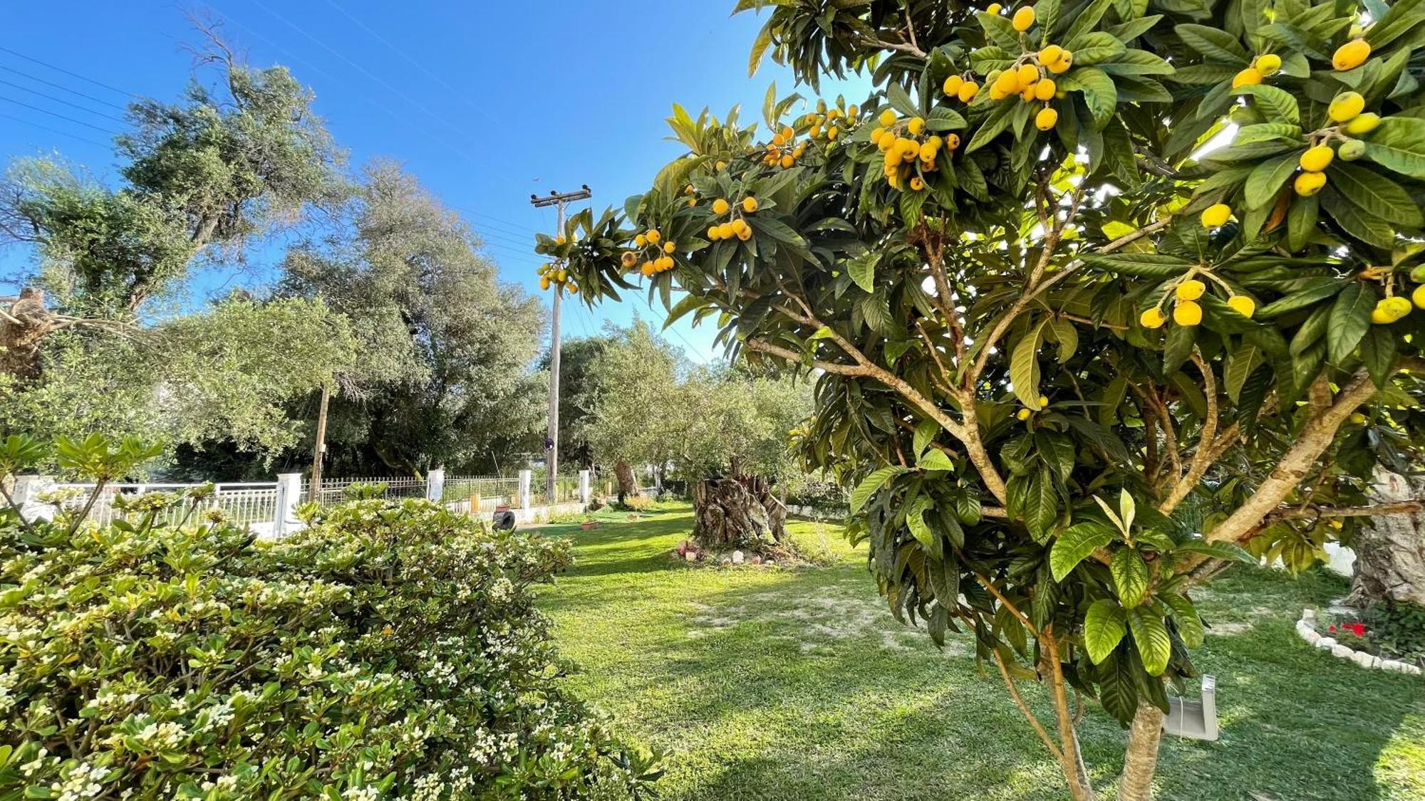 Kavos Aparthotel المظهر الخارجي الصورة